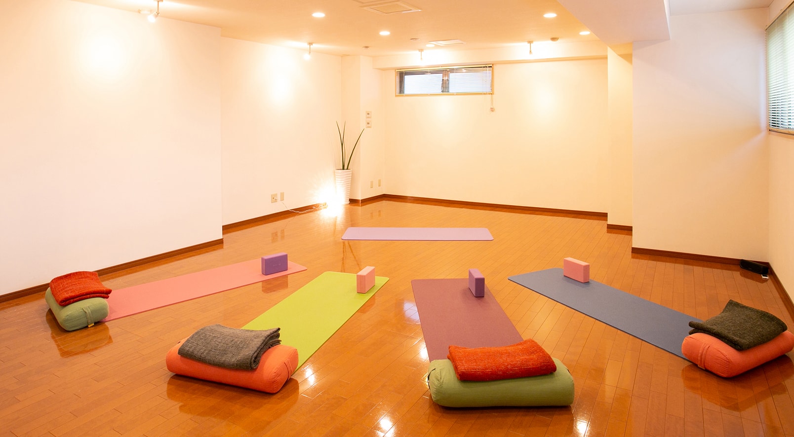 白い壁、木のフローリングにマットが敷かれたヨガスタジオ